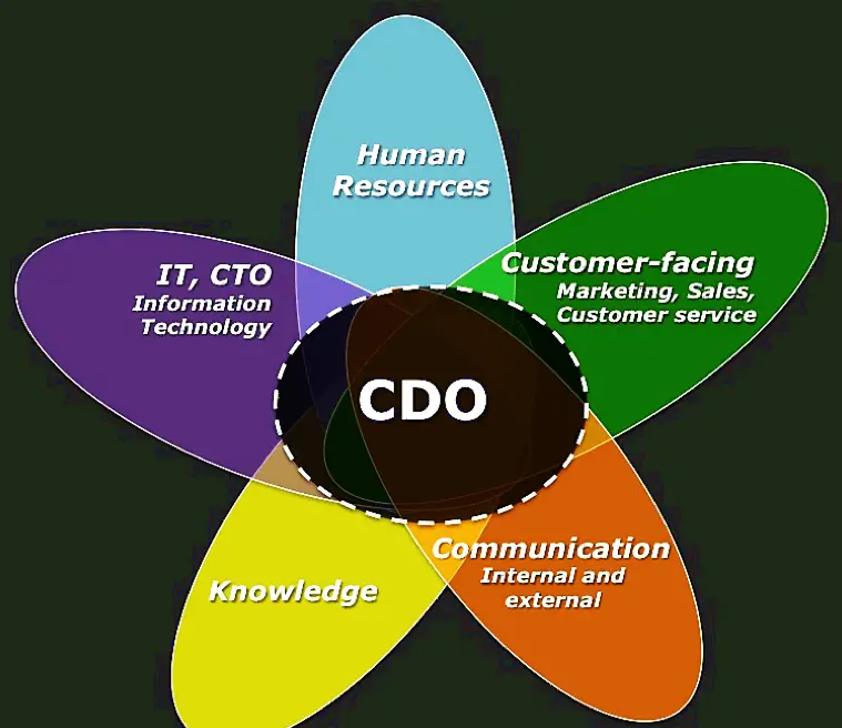 Chief Digital Officer à la croisée de plusieurs fonctions