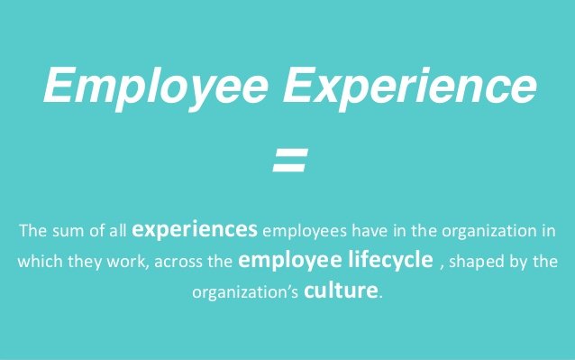 experience collaborateur