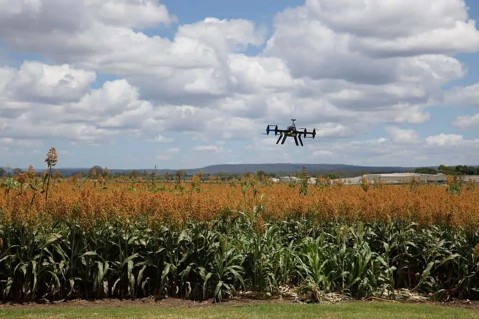 drone