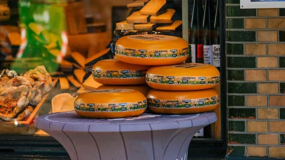 gouda