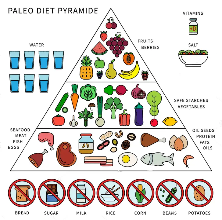 paleo