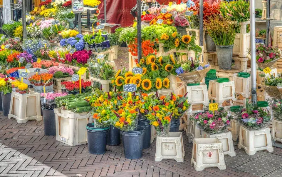 fleurs
